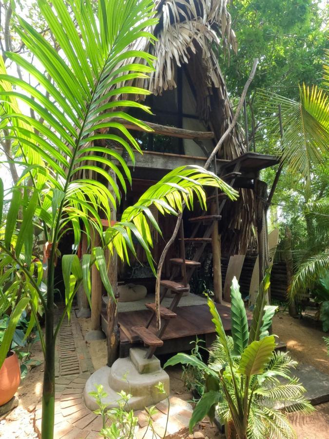 بوتوفيل Monsoon Eco Resort - Whisky Point Arugambay المظهر الخارجي الصورة