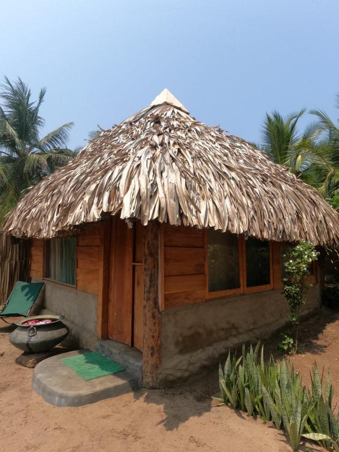 بوتوفيل Monsoon Eco Resort - Whisky Point Arugambay الغرفة الصورة