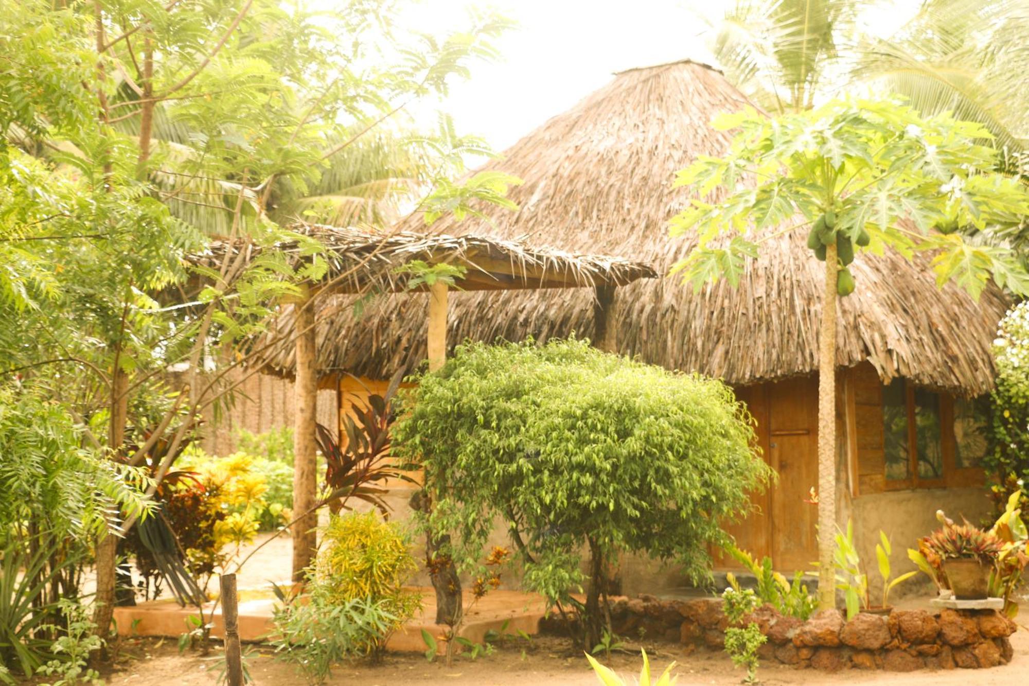 بوتوفيل Monsoon Eco Resort - Whisky Point Arugambay المظهر الخارجي الصورة