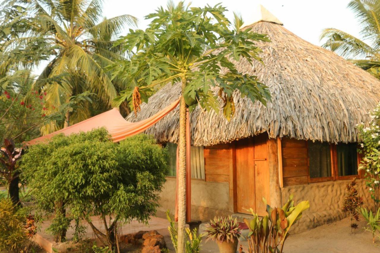 بوتوفيل Monsoon Eco Resort - Whisky Point Arugambay الغرفة الصورة