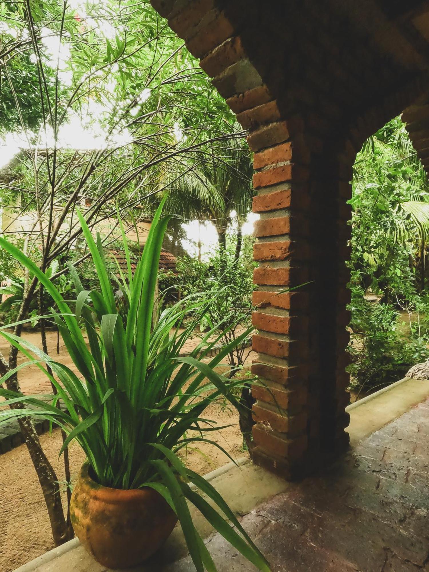 بوتوفيل Monsoon Eco Resort - Whisky Point Arugambay الغرفة الصورة